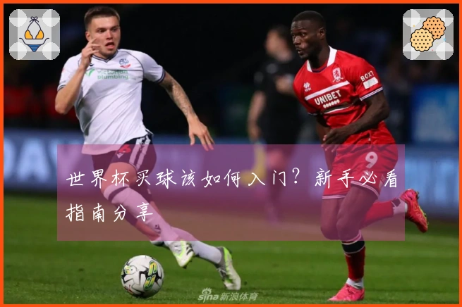 世界杯买球该如何入门？新手必看指南分享