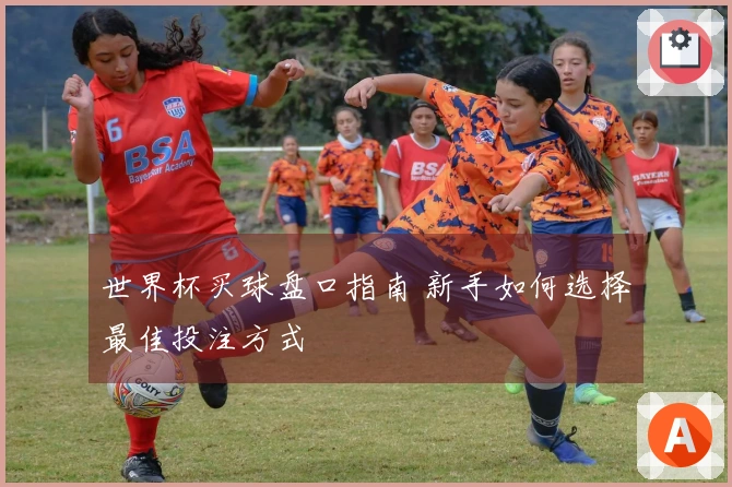 世界杯买球盘口指南 新手如何选择最佳投注方式