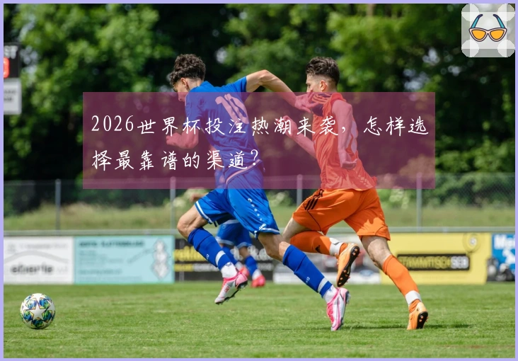 2026世界杯投注热潮来袭，怎样选择最靠谱的渠道？
