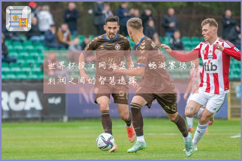 世界杯投注网站盘点：畅游赛场与利润之间的智慧选择