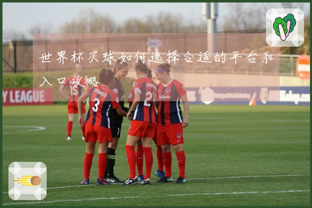 世界杯买球如何选择合适的平台和入口攻略
