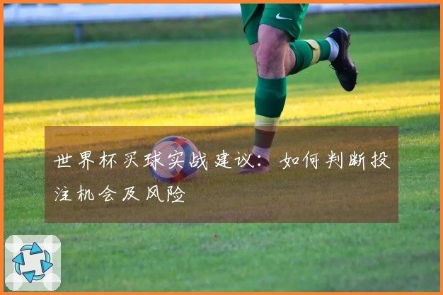 世界杯买球实战建议：如何判断投注机会及风险