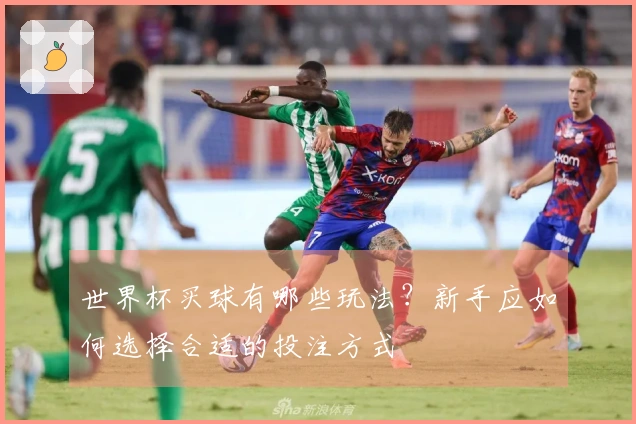 世界杯买球有哪些玩法？新手应如何选择合适的投注方式