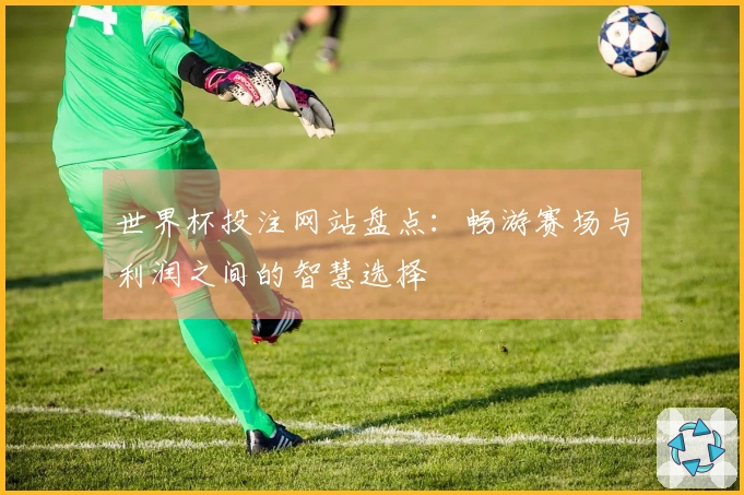世界杯投注网站盘点：畅游赛场与利润之间的智慧选择