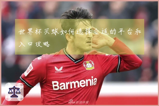 世界杯买球如何选择合适的平台和入口攻略