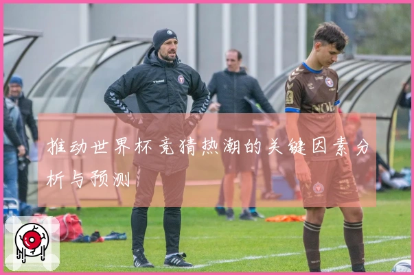 推动世界杯竞猜热潮的关键因素分析与预测