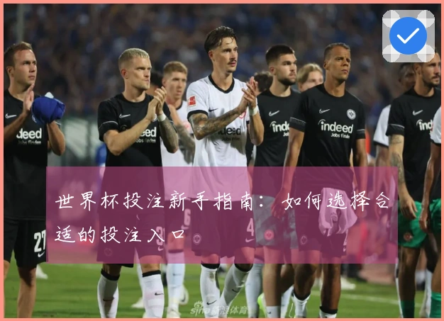 世界杯投注新手指南：如何选择合适的投注入口