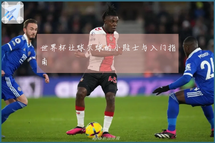 世界杯让球买球的小贴士与入门指南