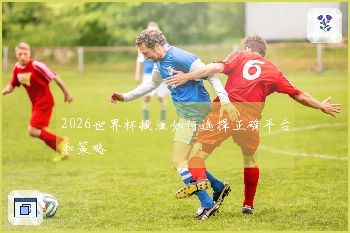 2026世界杯投注如何选择正确平台和策略
