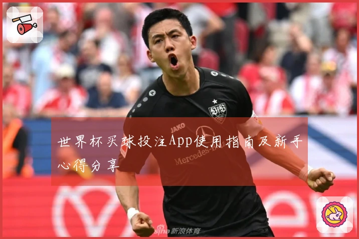 世界杯买球投注App使用指南及新手心得分享