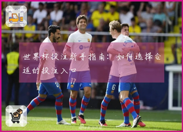 世界杯投注新手指南：如何选择合适的投注入口