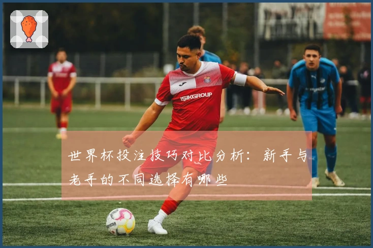 世界杯投注技巧对比分析：新手与老手的不同选择有哪些