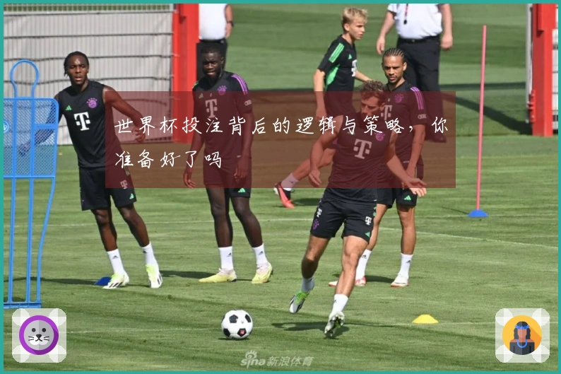 世界杯投注背后的逻辑与策略，你准备好了吗