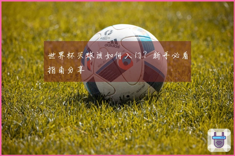 世界杯买球该如何入门？新手必看指南分享