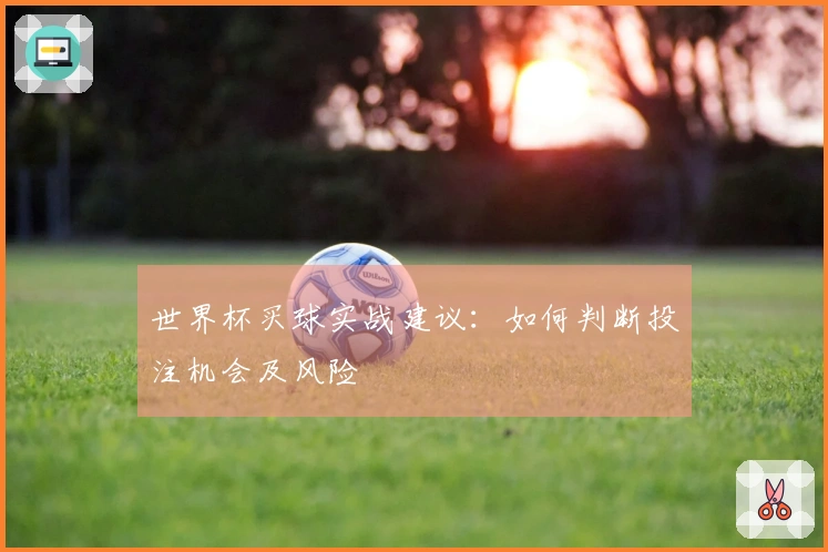 世界杯买球实战建议：如何判断投注机会及风险