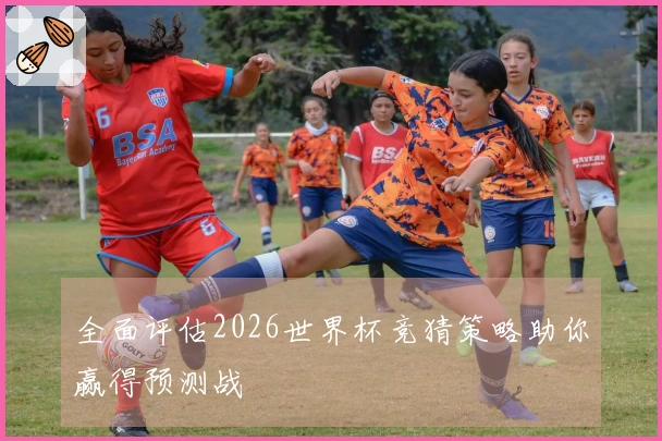 全面评估2026世界杯竞猜策略助你赢得预测战
