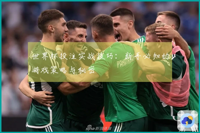 世界杯投注实战技巧：新手必知的游戏策略与秘密