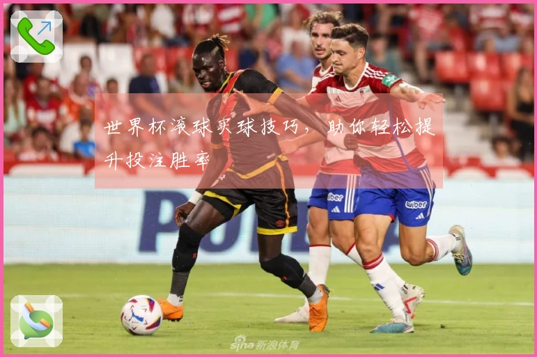 世界杯滚球买球技巧，助你轻松提升投注胜率